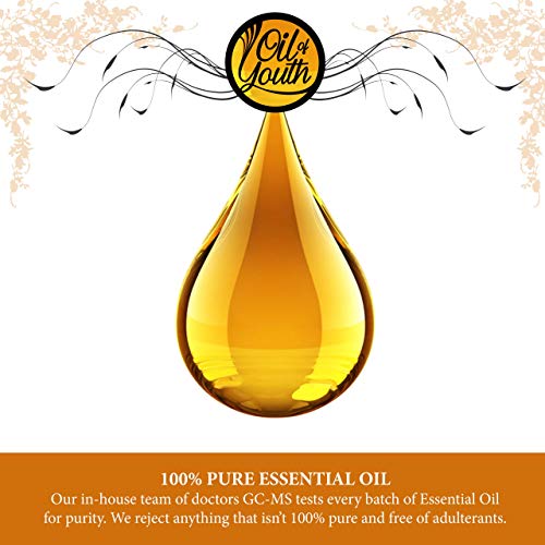 Oil of Youth - Pine Essential Oil (16oz Bulk) Pure Essential Oil for Cleaning, pest, Aromatherapy, Diffuse