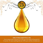Oil of Youth - Pine Essential Oil (16oz Bulk) Pure Essential Oil for Cleaning, pest, Aromatherapy, Diffuse
