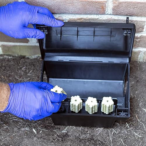 Neogen Rodent Bait Stations Bulk, 12 Count