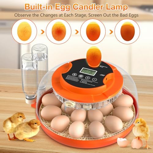 18 Egg Incubator with Automatic Egg Turning and Humidity Control, 360° View Incubators for Hatching Eggs, Incubator for Chicken Eggs, Ducks, Goose, Pigeon, Quail, Parrot Eggs (Orange)
