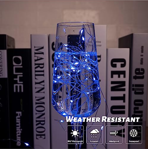 Fairy Lights 66 ft 200 LED USB Twinkle String Lights Plug in Silver Wire Lights with Remote and Timer 8 Modes Outdoor Waterproof Starry Lights DIY Party Wedding Christmas Decoration（Blue）