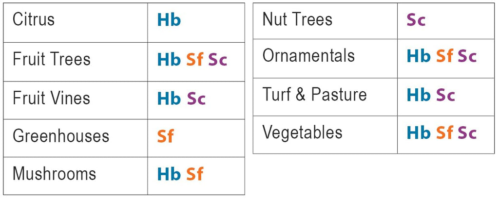 10 Million Live Beneficial Nematodes Hb & Sf - Kills Over 200 Different Species of Soil Dwelling and Wood Boring Insects.