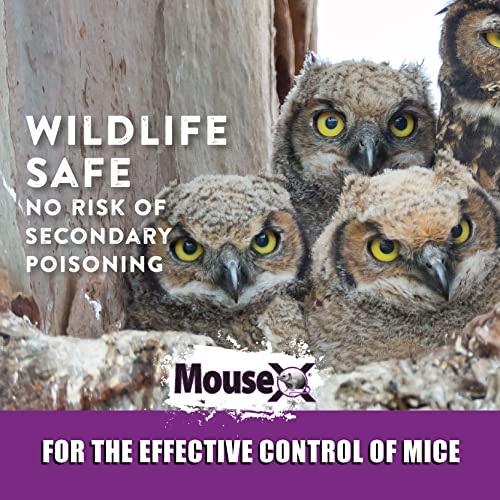 MouseX Throw Packs- For All Species Of Rats Mice Safe Around Pets