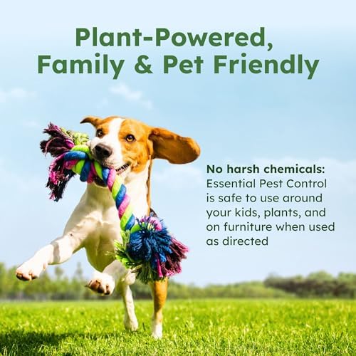 BugMD 32 oz Ant Killer & Bug Spray - Roach and Cockroach Killer Indoor, Spider and Flea Spray for Home, Fly and Insect Defense, Natural, Safe with Essential Oils, Plant-Powered, Pest Control