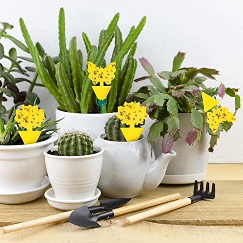 Stingmon 60 Pack Fruit Fly Trap, Fungus Gnat Trap Killer Protect Plants Indoor Outdoor, Double Sided Yellow Bug Sticky Traps for Fungus Gnat, Fruit Fly and Other Insects