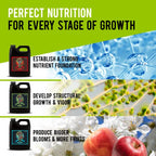 Cronk Nutrients 3-Part Kit - Complete Vegetative & Bloom Plant Food for Indoor & Outdoor Hydroponics, Soil, and Soilless Gardens - Supports Healthy Growth & Abundant Yields, 500mL