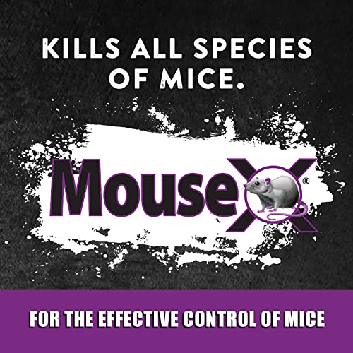 EcoClear Products 620200-6D MouseX All-Natural Poison Free Humane for Rats and Mice, 8 oz. Bag