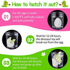 60PCS Small Hatching Dinosaur Eggs for Dinosaur Party Favors Birthday Valentine Goodie Bag Stuffers Classroom Carnival Prizes Bulk Pinata Fillers Novelty Grow in Water Dino Eggs with Toys Inside
