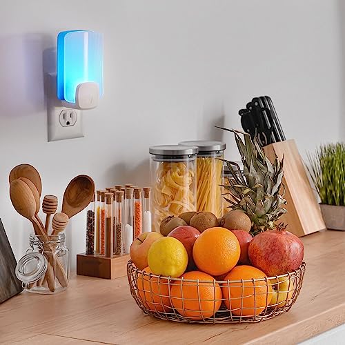 Raid Essentials Flying Insect Light Trap Starter Kit, 1 Plug-in Device + 1 Cartridge, Featuring Light Powered Attraction
