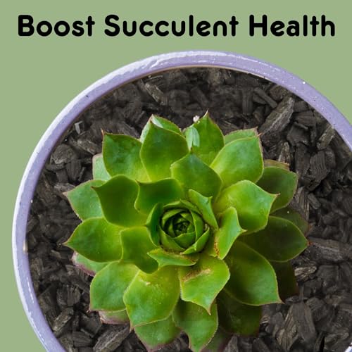 Horticultural Charcoal for Indoor Plants (8 Quarts), Hardwood Soil Additive for Orchids, Terrariums, and Gardening