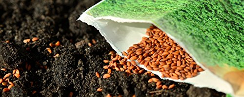 'Super Soil Organic Concentrate