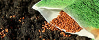 'Super Soil Organic Concentrate