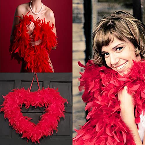Larryhot 80g Red Feathers Boa - 2Yards Fluffy Boa for Party Bulk,Halloween Costume,Christmas Tree,Concert,and Home Decoration (80g - Red)