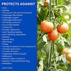 BioAdvanced 708480A Insect Killer, Vegetable Garden Insecticide, 32 Ounce, Ready-to-Spray
