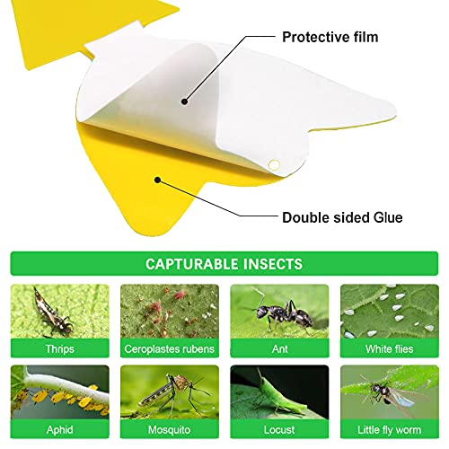 72 Pcs Sticky Traps for Fruit Fly, Whitefly, Fungus Gnat, Mosquito and Bug, Yellow Sticky Insect Catcher Traps for Indoor/Outdoor/Kitchen, Extremely Sticky Fly Trap, Non-Toxic