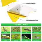 72 Pcs Sticky Traps for Fruit Fly, Whitefly, Fungus Gnat, Mosquito and Bug, Yellow Sticky Insect Catcher Traps for Indoor/Outdoor/Kitchen, Extremely Sticky Fly Trap, Non-Toxic