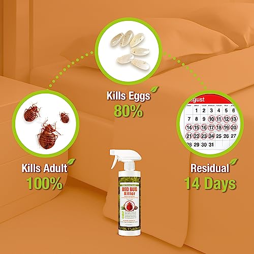 Bed Bug Killer 16 oz EcoVenger by EcoRaider, 100% Kill Efficacy, Bedbugs & Mites, Eggs & the Resistant, Lasting Protection, USDA BIO-certified, Plant Extract Based & Non-Toxic, Child & Pet Safe