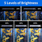 AQUANEAT LED Aquarium Light for 18 to 24 Inch Fish Tank, Auto On Off with Timer, Full Spectrum Fish Tank Light, Adjustable Brightness, Daylight Moonlight Mode, for Fresh Water Low-to-Mid Light Plants