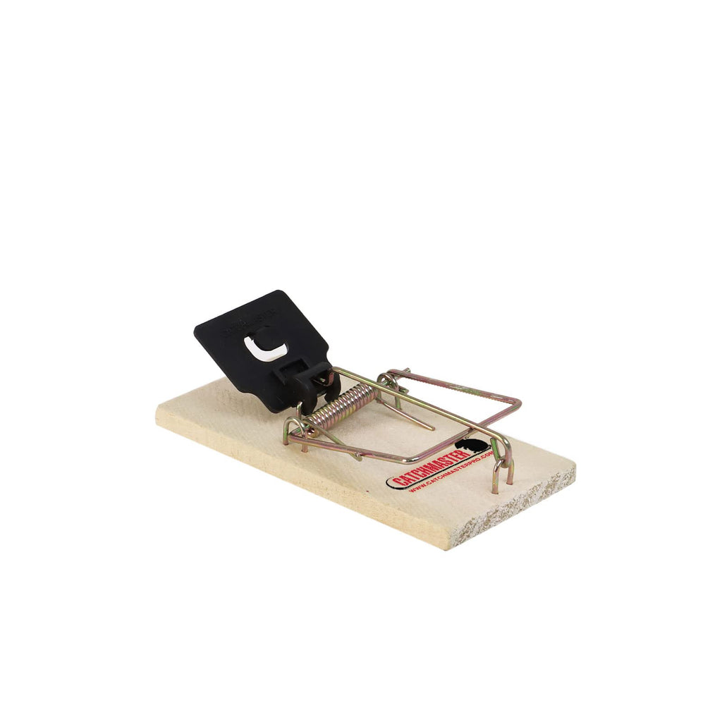 Instant Kill Mouse Snap Traps by Catchmaster - 72 Count, Ready for Use Indoors & Outdoors. Wood Double-Tension Springs Weather-Resistant Corrosion-Resistant Disposable Poison-Free Non-Toxic