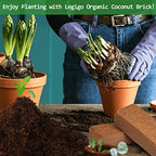 Legigo 12 Pack Premium Coco Coir Brick for Plants- 100% Organic Compressed Coconut Coir Bricks Starting Mix, Coco Coir Fiber Coconut Husk for Planting, Gardening, Potting Soil Substrate, Herbs