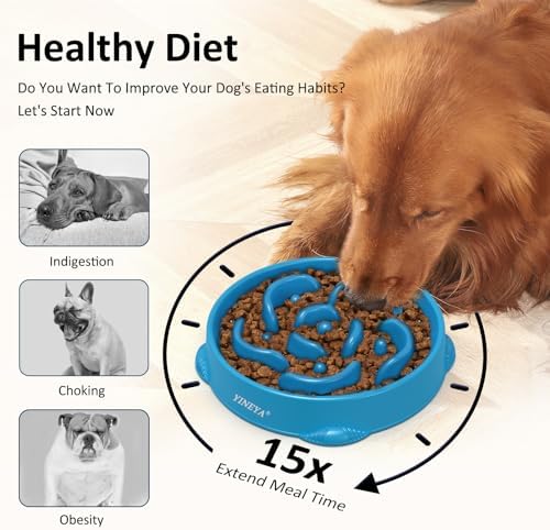 4 Cups Slow Feeder Dog Bowls Large Breed, Anti-Choking Pet Supplies, Maze Dog Food Bowl, Puzzle Feeder That Slow Down Eating 2PCS