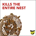 Raid Wasp Hornet Killer Spray (14 Ounce (Pack of 3)