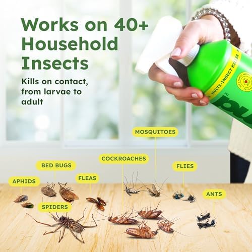 BugMD 32 oz Ant Killer & Bug Spray - Roach and Cockroach Killer Indoor, Spider and Flea Spray for Home, Fly and Insect Defense, Natural, Safe with Essential Oils, Plant-Powered, Pest Control