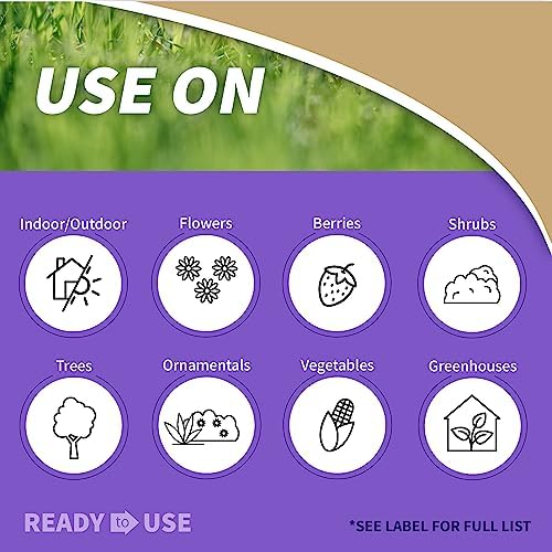 Bonide Insecticidal Soap, 32 oz Ready-to-Use Spray Multi-Purpose Insect Control for Organic Gardening Indoor and Outdoor