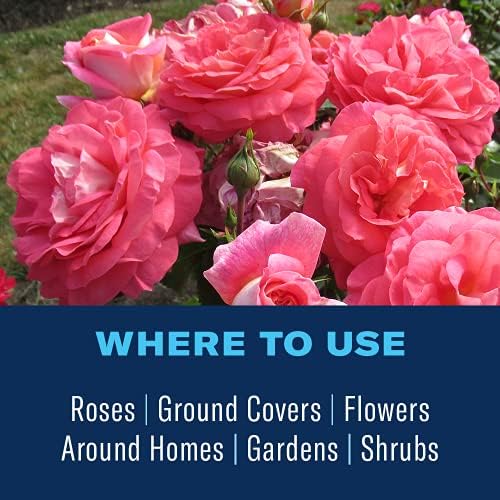 BioAdvanced Rose and Flower Insect Killer, Ready-to-Use, 24 oz (Pack of 2)