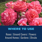 BioAdvanced Rose and Flower Insect Killer, Ready-to-Use, 24 oz (Pack of 2)
