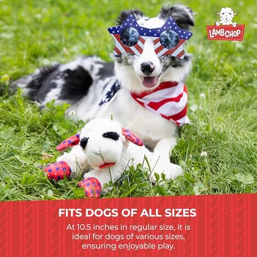 Multipet Lamb Chop Dog Plush Toy w/Birthday Hat - Squeaky Dog Toy for All Dogs - Soft Plush Dog Toy - Stuffed Animal Dog Toy for Playing - Cute Dog Birthday Toy (10.5”, Pink Hat, 5 Squeakers)