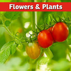 I Must Garden Squirrel Repellent - 3lb Granular - Stops Digging in Flower Pots and Beds