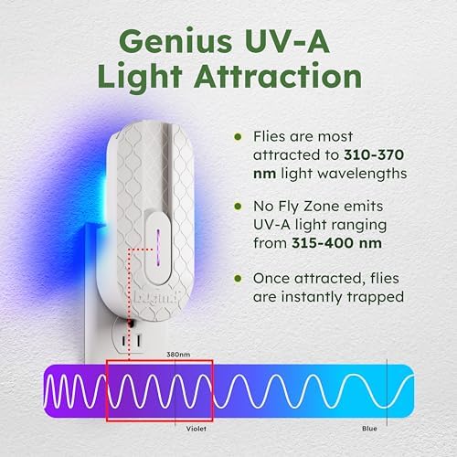 BugMD Fly Trap Indoor, Gnat Traps for House Indoor, Fruit Fly Trap, Gnat Killer Indoor, Plug in Bug Catcher, Indoor Fly Trap, Insect Traps Indoor, Fly Traps Indoor for Safer Home, Fruit Fly Killer