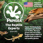 Pangea Fruit Mix with Insects Crested Gecko Complete Diet 2 oz