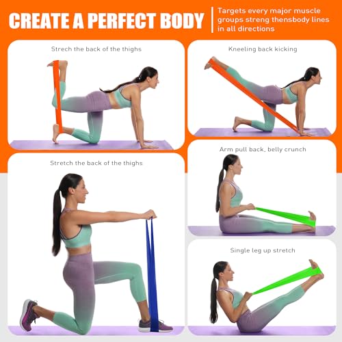 HPYGN Resistance Bands, Elastic Bands for Home Workout, Stretching, Yoga, Pilates, Rehab and Strength Training, Non Latex Exercise Bands for Physical Therapy, 2.1m Workout Bands for Home and Gym