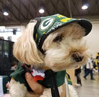 Dog Hat - Dodgers Sports Fabric