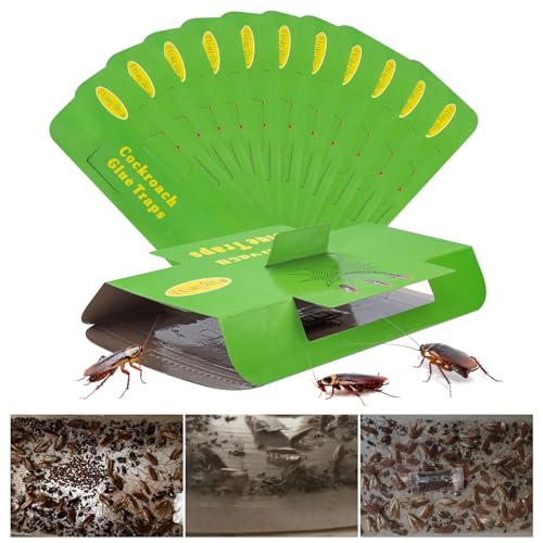 24 Pack Roach Traps Indoor Roach Killer Indoor Infestation, Cockroach Killer Indoor Home Cockroach Trap Sticky Traps for Insects