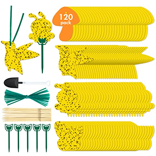 120 Pack Sticky Trap Fruit Fly Killer Indoor, Fungus Gnat Trap for House Plants, Yellow Sticky Traps for Plants Insects Bug