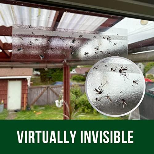 Garsum 120 Pack Window Fly Sticky Traps Indoor Clear,House Fly Paper Bug Catcher, Fly Tape Glue Strips Gnat Killer Window Decal for Home