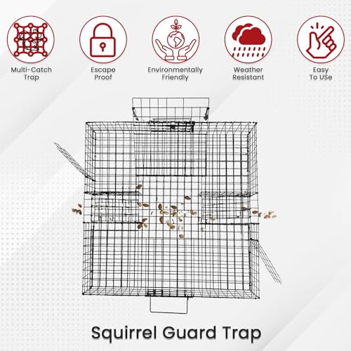 Predator Guard Squirrel Guard Trap - Humane Multi-Catch Trap, Attracts & Catches Multiple Squirrels in 1 Trap - Perfect for Indoor and Outdoor Use - Effective Squirrel Control to Protect your Property
