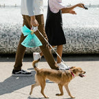 Poop Bags Clips for Leashes Silicon Dog Poop Bag Holder Dispenser Hands-free Poop Bag Holders for Leashes Dog Walking Accessories Dog Leash Attachment for Hanging Used Dog Waste Bags(Milk Tea)