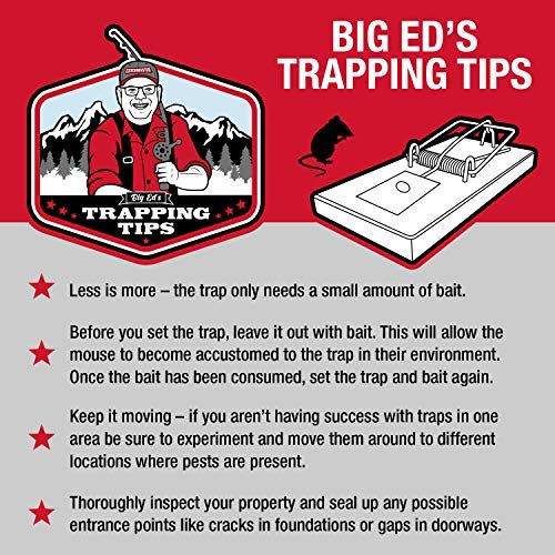 Instant Kill Mouse Snap Traps by Catchmaster - 72 Count, Ready for Use Indoors & Outdoors. Wood Double-Tension Springs Weather-Resistant Corrosion-Resistant Disposable Poison-Free Non-Toxic