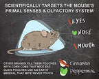 Grandpa Gus's Extra-Strength Mouse Repellent, Cinnamon/Peppermint Oils Repel Mice from Nesting & Freshen Air in Car/RV/Boat/Garage/Shed/Cabin, 1.75 Oz (10 Pouches)