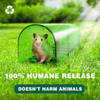 Humane Mouse Traps Indoor, 6 Pack Catch and Release Mice Traps for Home/Outdoor, No Kill Live Mouse Catcher with Clean Brush, Easy to Use, Dog & Cat Pet Safe, Reusable Mousetrap for Rodent, Rat, Mole