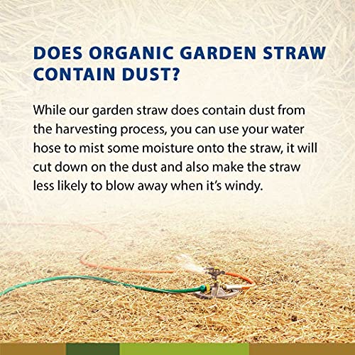 Organic Garden Straw (5lb) | Blue Mountain Hay | Straw Mulch for Raised Bed Gardens, Yard Landscaping, New Lawn Grass Seed Plantings, Tomato & Vegetable Mulch | Covers up to 75 sq ft