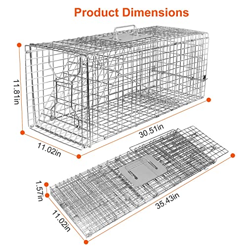 KOCASO Large Live Animal Trap Cage, Foldable Heavy Duty Humane Rat Trap for Indoor and Outdoor, Metal Mouse Trap for Squirrel Gopher Chipmunk Mice Raccoon, Easy to Catch and Release 31"x11"x12"