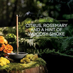 Murphy’s Naturals Mosquito Repellent Incense Sticks with Holder for Outdoor Yard, Citronella, DEET Free, 2.5+ Hours per Stick, 12 Sticks & 1 Holder