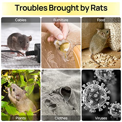 MEILEN Mouse Traps Indoor, Glue Traps for Mice and Rats, Super Heavier Rat Traps Large Size Pre-Scented Strengthen Sticky Mouse Traps for Home Safe for Children & Pets-12Packs