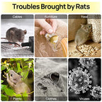 MEILEN Mouse Traps Indoor, Glue Traps for Mice and Rats, Super Heavier Rat Traps Large Size Pre-Scented Strengthen Sticky Mouse Traps for Home Safe for Children & Pets-12Packs