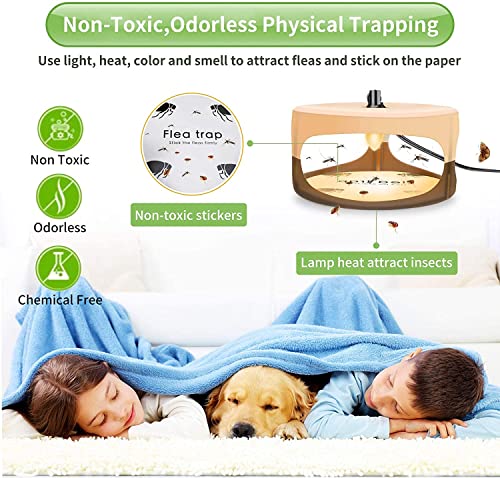 Flea Traps for Inside Your Home,New 2023 Flea Light Trap for Indoor with Light Refills and Sticky Pads,Indoor Electronic Flea Killer for House,Family and Pet Friendly Sticky Flea Trap(2 Pack)